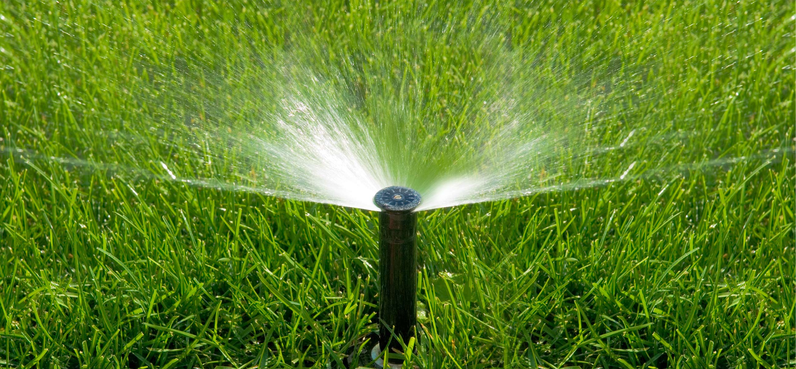 Alonplastic - הזרקת פלסטיק - השקיה כמותית - משמעת קיץ